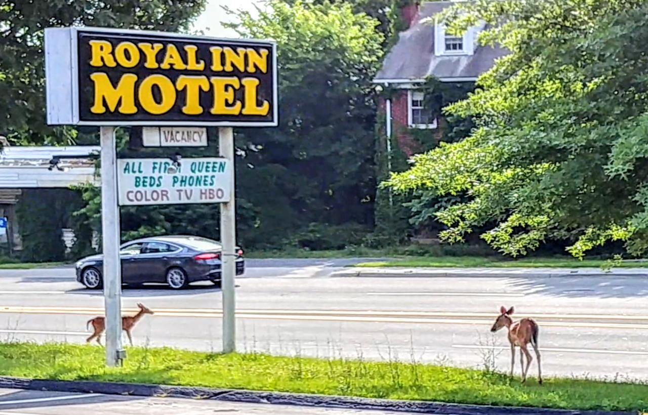 Royal Inn Motel Front Royal Zewnętrze zdjęcie